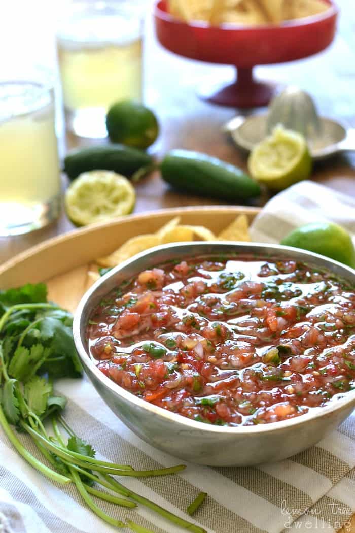 The BEST Blender Salsa! Comes together in minutes - no more chopping!!!