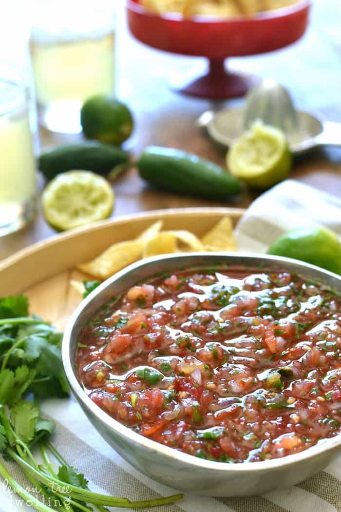 The BEST Blender Salsa! Comes together in minutes - no more chopping!!!