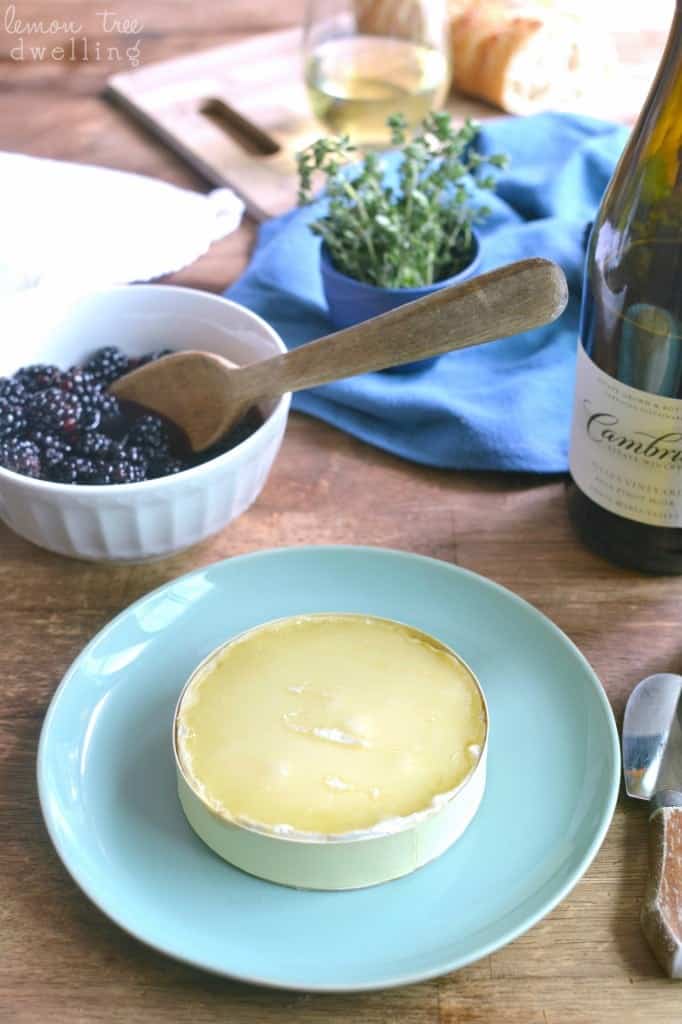 Baked Brie with fresh blackberries soaked in Cambria Julia's Vineyard Pinot Noir - a delicious summer appetizer! #cambriawines #sponsored