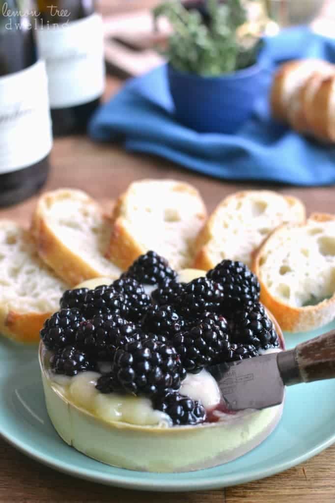 Baked Brie with fresh blackberries soaked in Cambria Julia's Vineyard Pinot Noir - a delicious summer appetizer! #cambriawines #sponsored