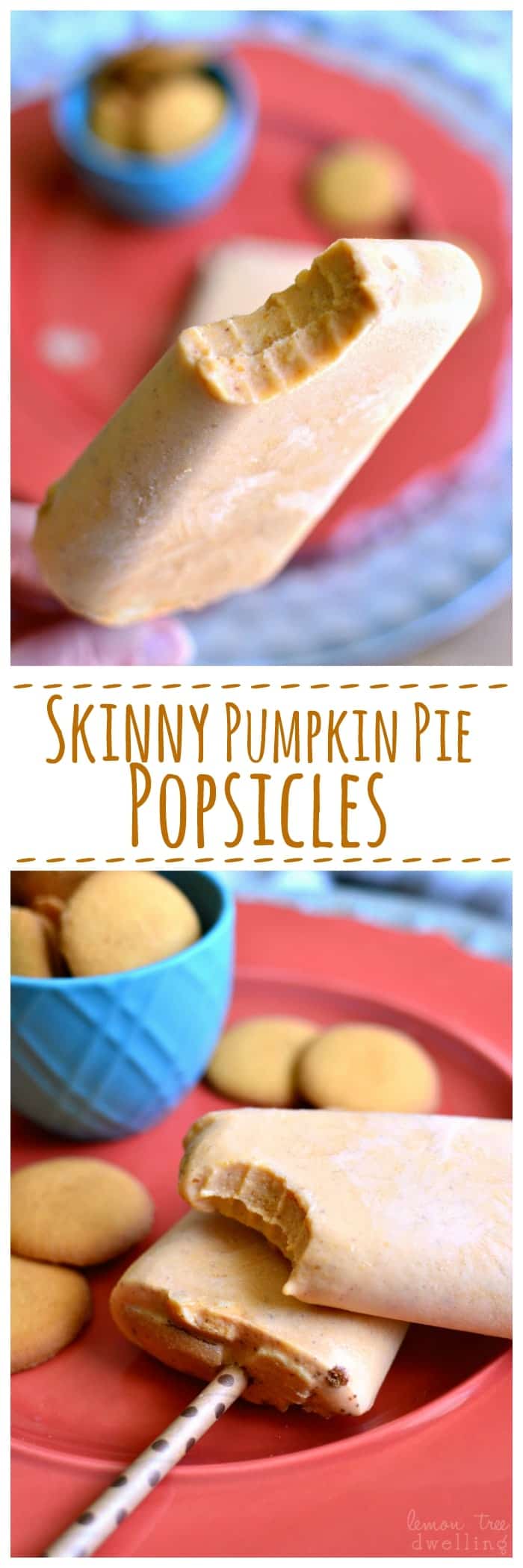 Skinny Pumpkin Pie Popsicles made with Truvia®! These popsicles are rich, creamy, and packed with pumpkin flavor. So delicious, you would never guess they're "skinny"!