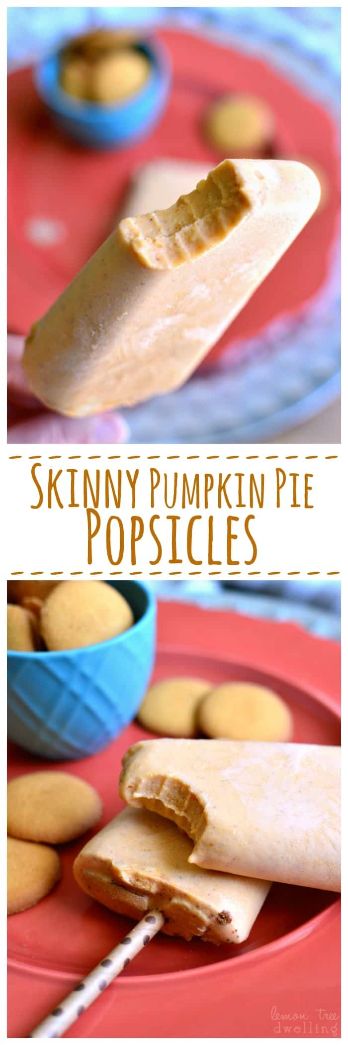 Skinny Pumpkin Pie Popsicles | Lemon Tree Dwelling