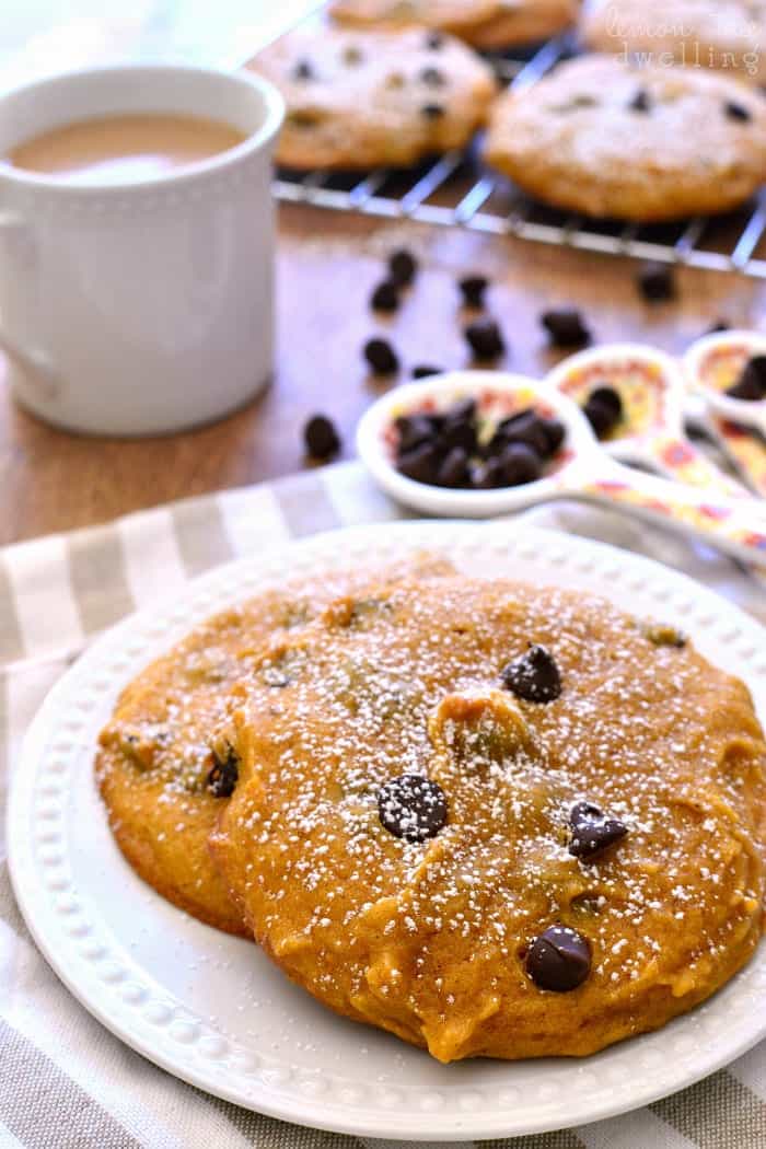  Soft, pillowy Pumpkin Chocolate Chip Muffin Tops. Perfect for breakfast, snack, or even dessert! 