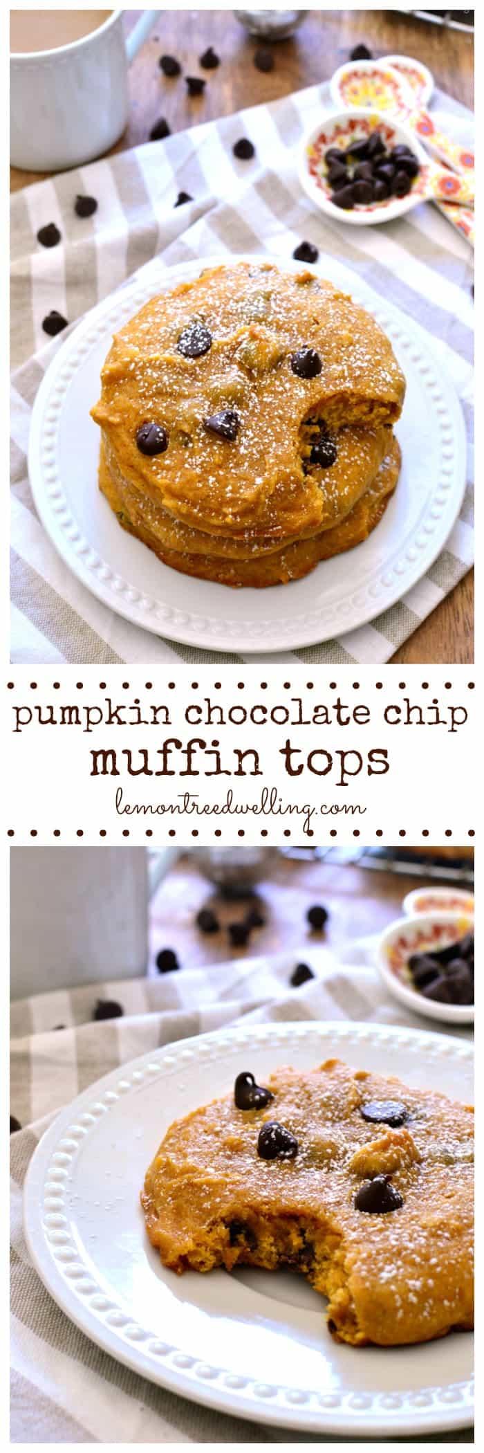 Soft, pillowy Pumpkin Chocolate Chip Muffin Tops. Perfect for breakfast, snack, or even dessert! 