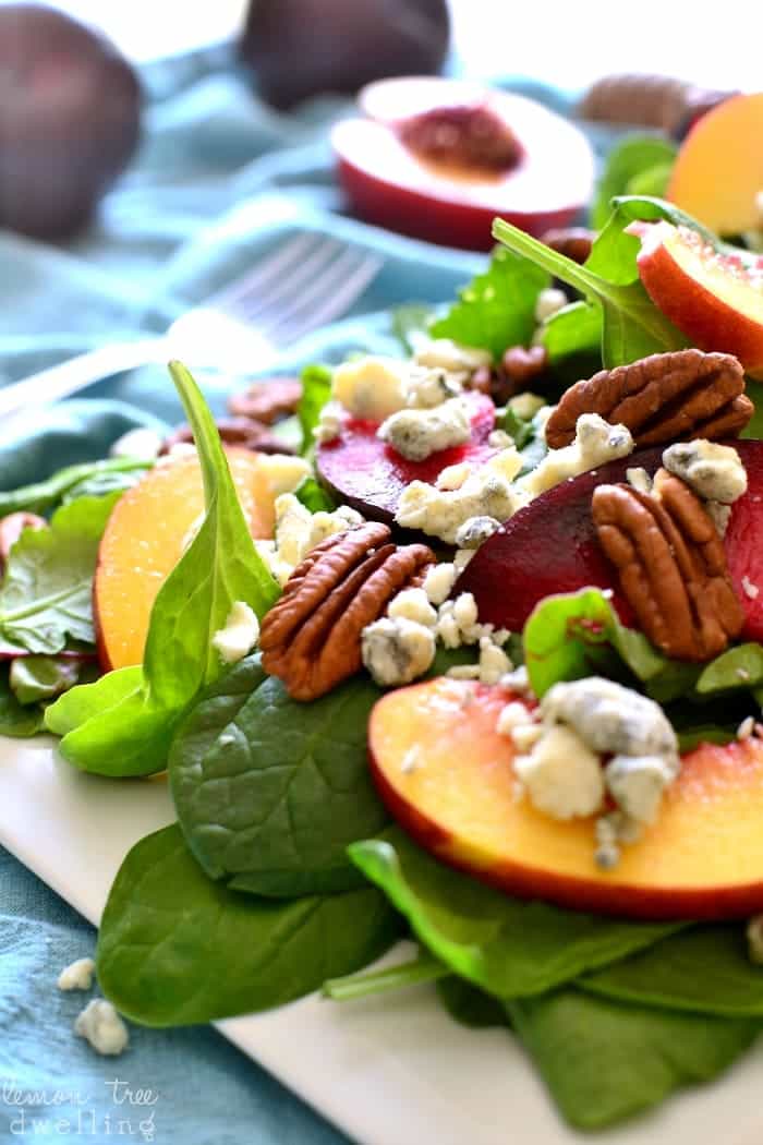 This Stone Fruit Salad combines sweet plums and nectarines with crunchy pecans, blue cheese, and balsamic vinaigrette. It's an explosion of flavor in every bite.....the perfect end of summer salad!