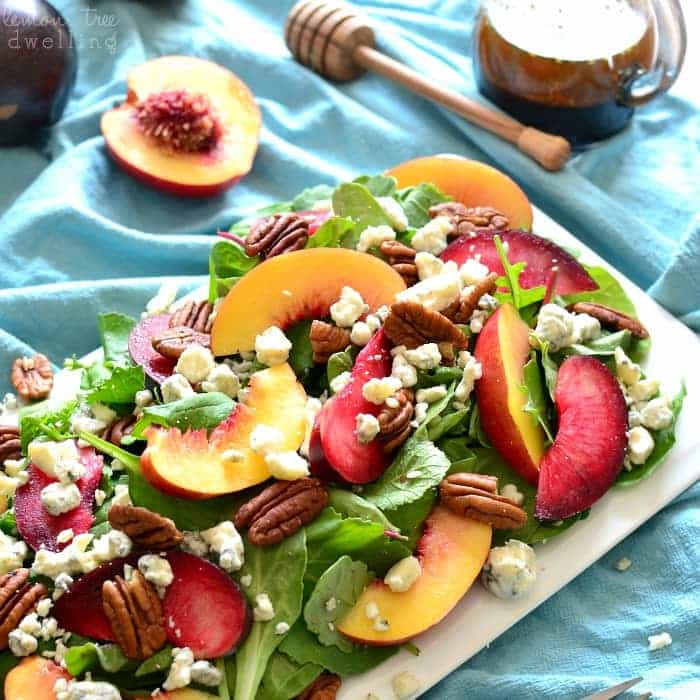 Stone Fruit Salad squareThis Stone Fruit Salad combines sweet plums and nectarines with crunchy pecans, blue cheese, and balsamic vinaigrette. It's an explosion of flavor in every bite.....the perfect end of summer salad!