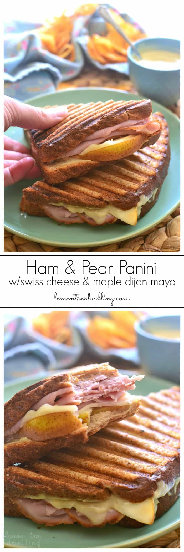 This Ham & Pear Panini is packed with ham, swiss, and fresh pears, then slathered in a delicious maple dijon mayo and grilled to perfection!