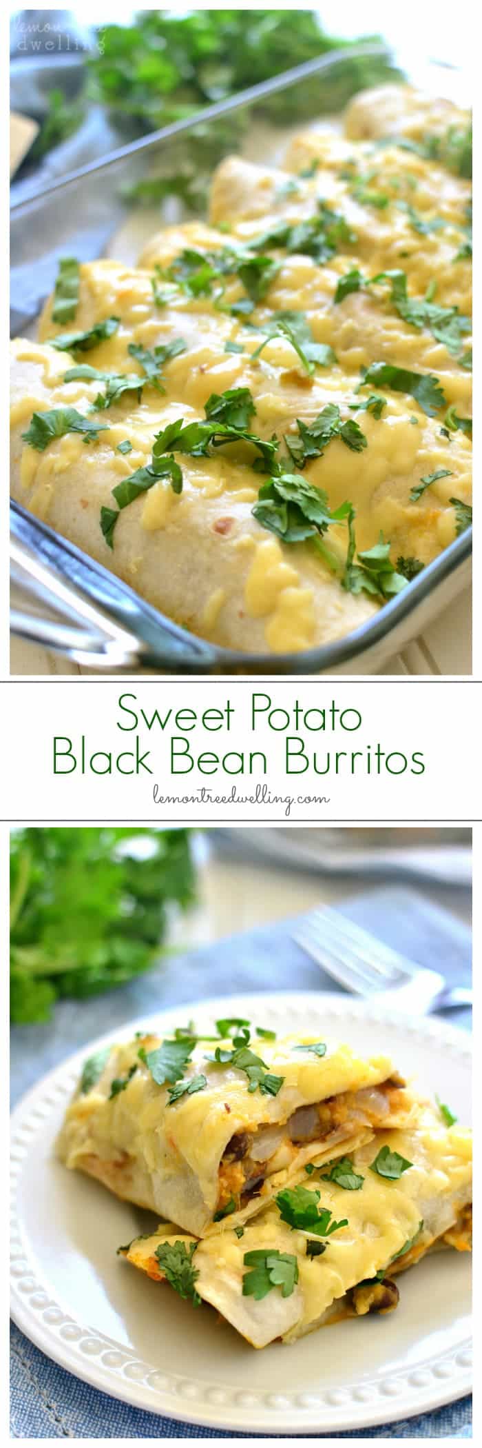 The BEST Sweet Potato Black Bean Burritos made with fresh sweet potatoes, black beans, cilantro, onions, and cheese. Make them ahead for a quick & easy weeknight meal!