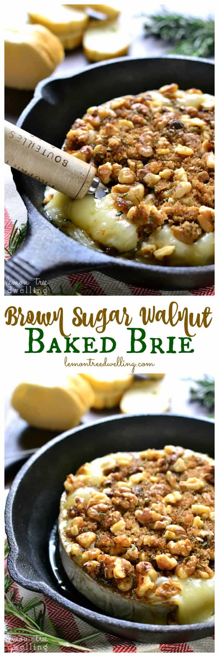 This Brown Sugar Walnut Baked Brie is the perfect blend of savory and sweet and makes a delicious holiday appetizer! Serve it with fresh bread, apple slices, or crackers for a quick and easy snack that's sure to please all your holiday guests!