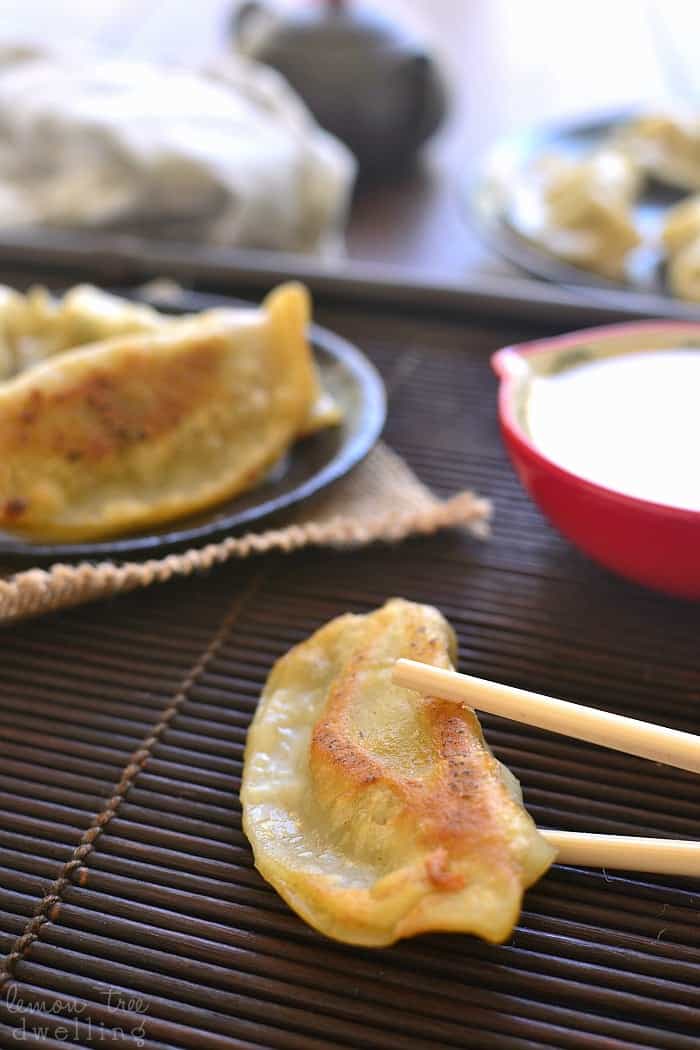 This Creamy Ginger Soy Dipping Sauce is sweetened with honey and perfect for dipping pot stickers, spring rolls, or your favorite Asian appetizers!