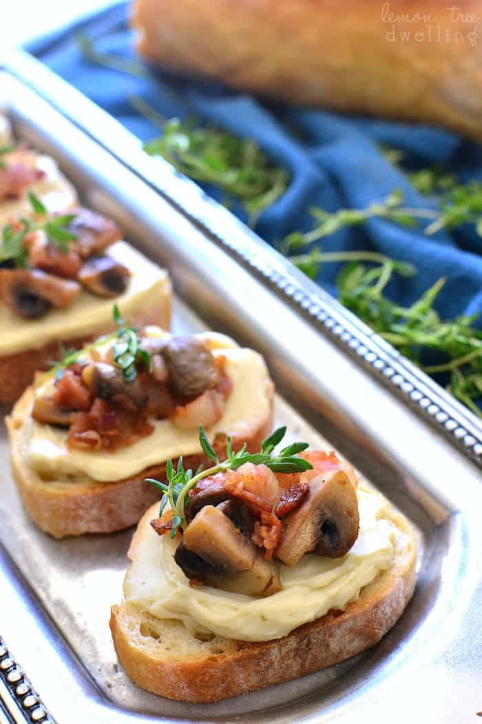  This Mushroom Bacon Swiss Crostini is packed with delicious flavor and so simple to make! The perfect holiday appetizer - it's sure to please a crowd!