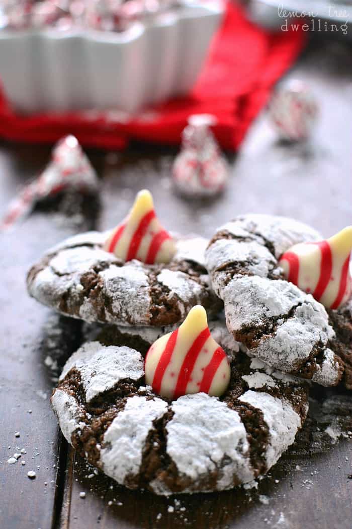 Chocolate Peppermint Blossom Cookies are loaded with rich chocolate and peppermint and topped with a Candy Cane flavored Hershey's Kiss. Perfect cookies for mint (and chocolate) lovers everywhere!