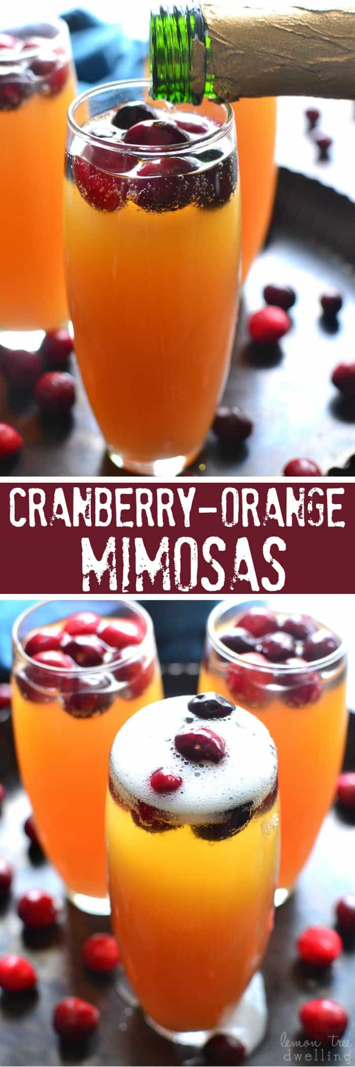 Cranberry Orange Mimosas are a deliciously sweet brunch cocktail and perfect for any celebration! This easy drink can be a beautiful accompaniment to any holiday table
