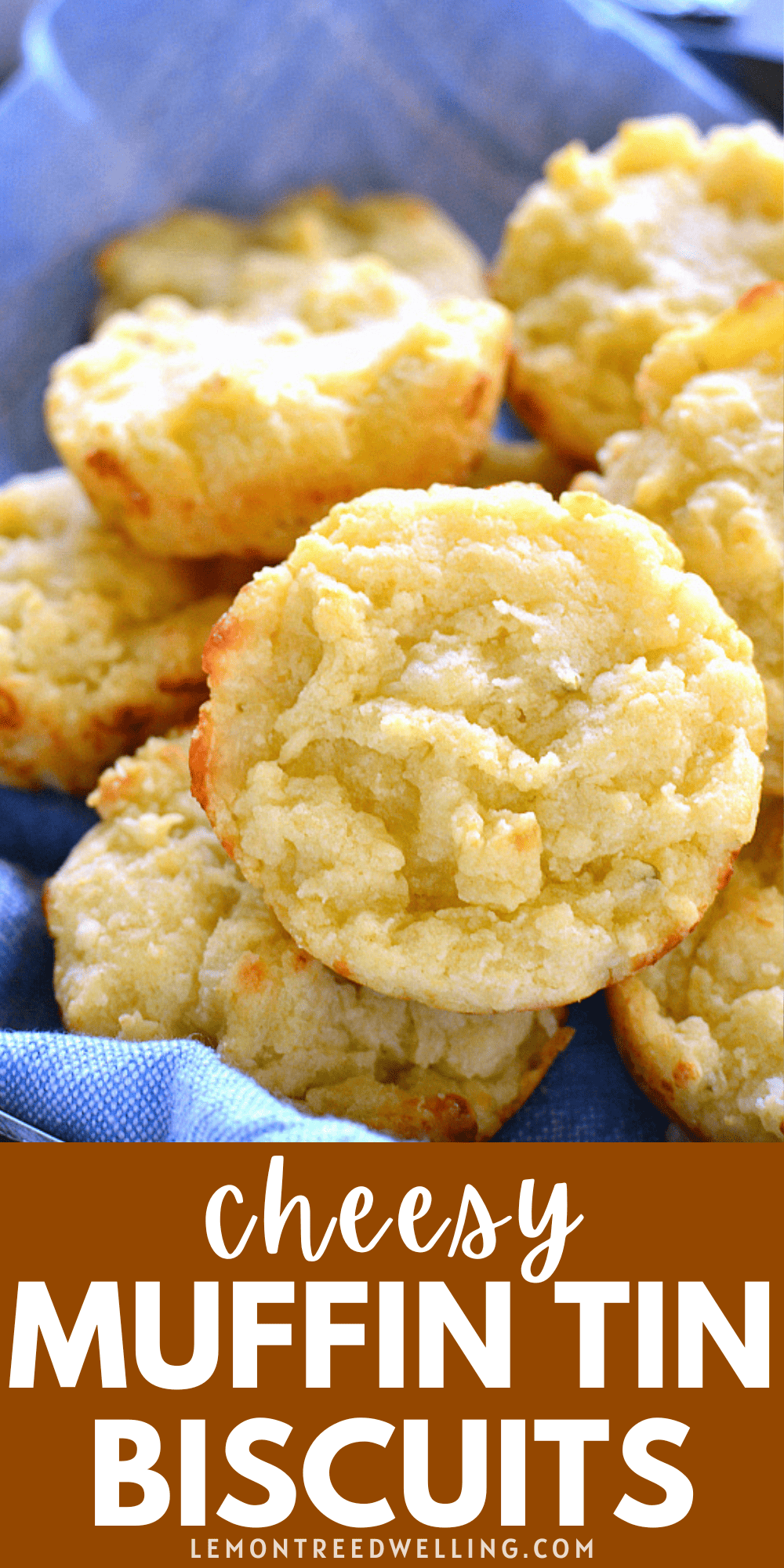 Easy Cheesy Muffin Tin Biscuits