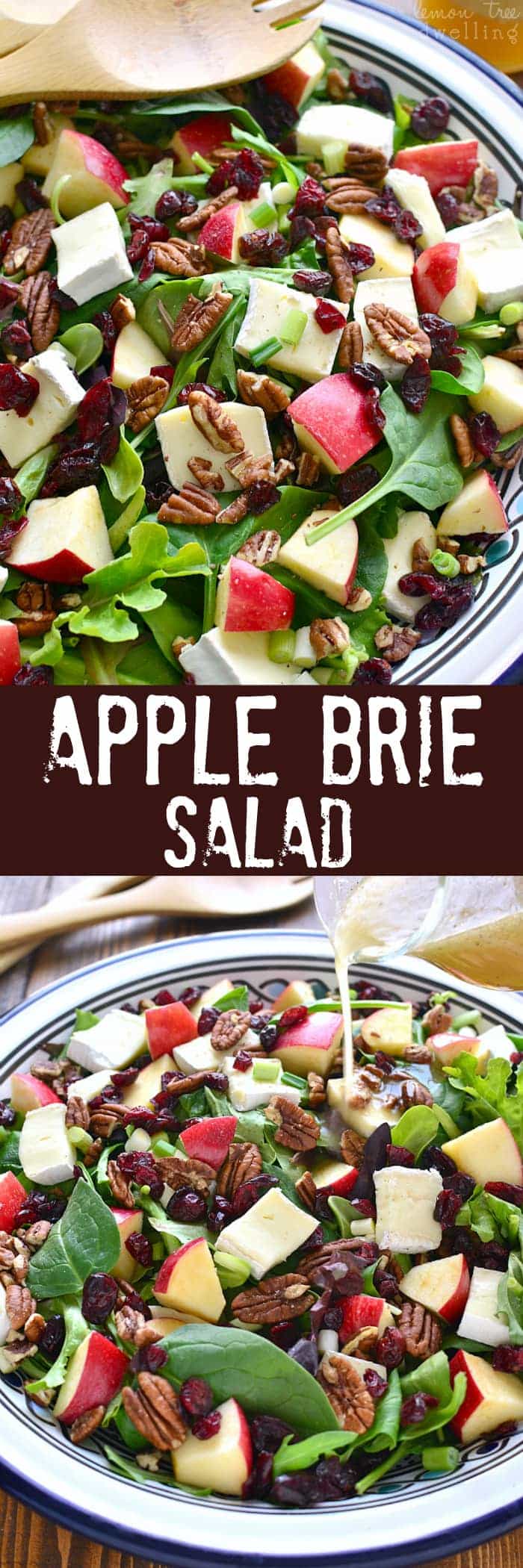 Collage image of Apple Brie Salad