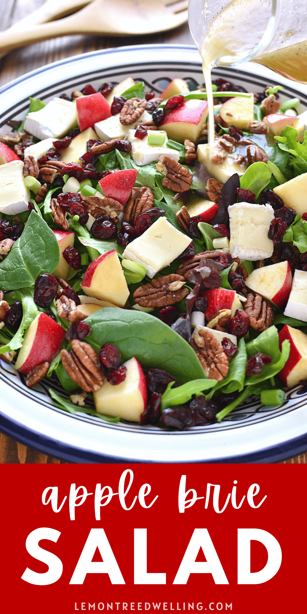 Apple Brie Salad