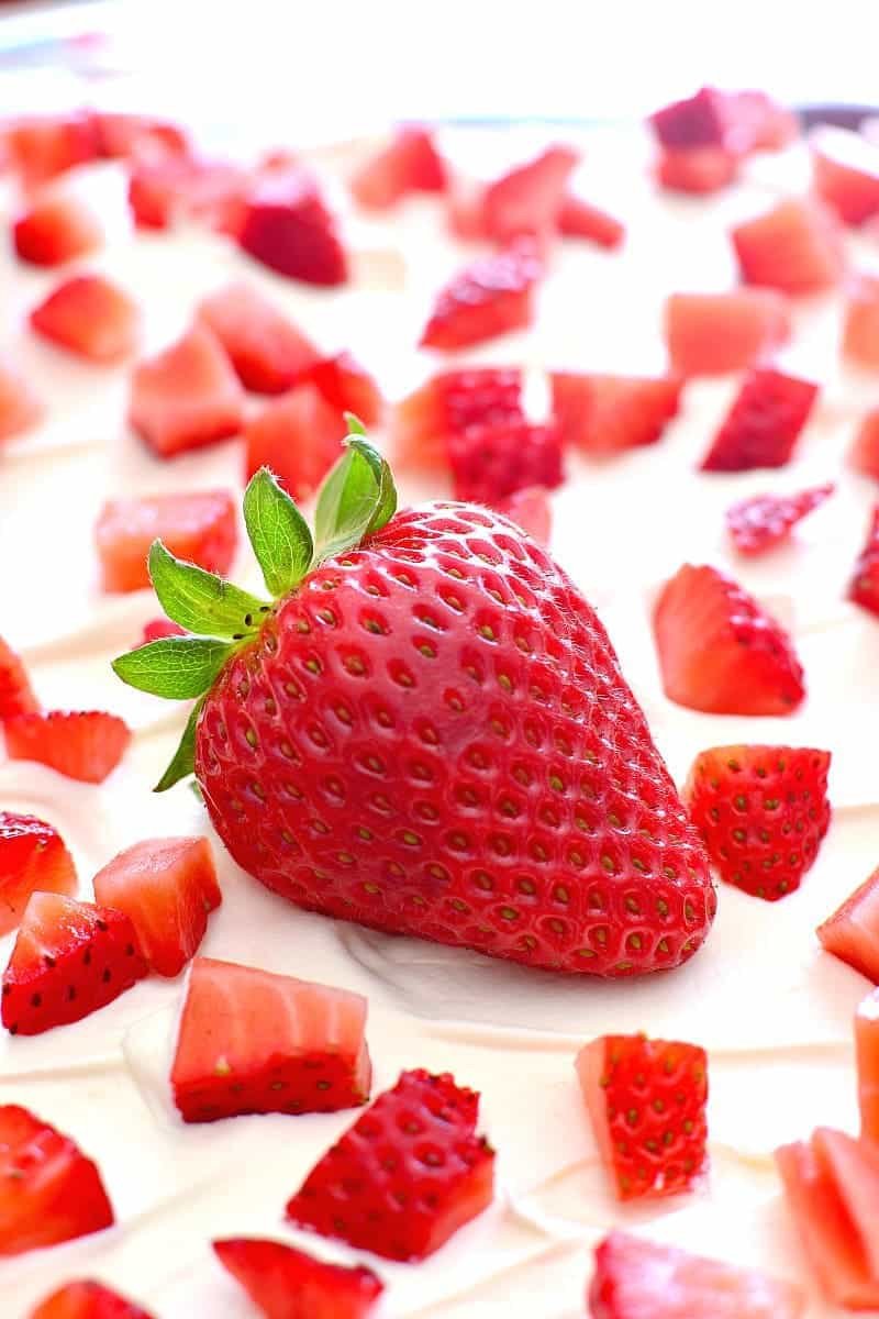 Strawberries & Cream Lush 4d
