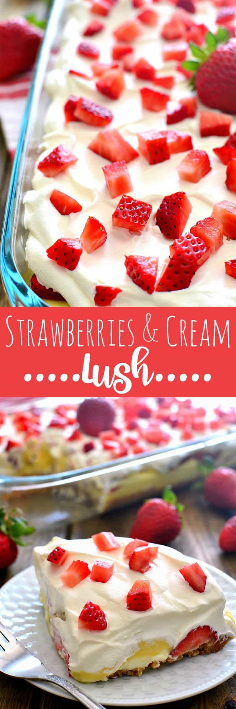 This Strawberries & Cream Lush Dessert combines a crunchy cookie crust with vanilla pudding, whipped topping, and fresh strawberries for a delicious summer treat that's guaranteed to become a favorite!