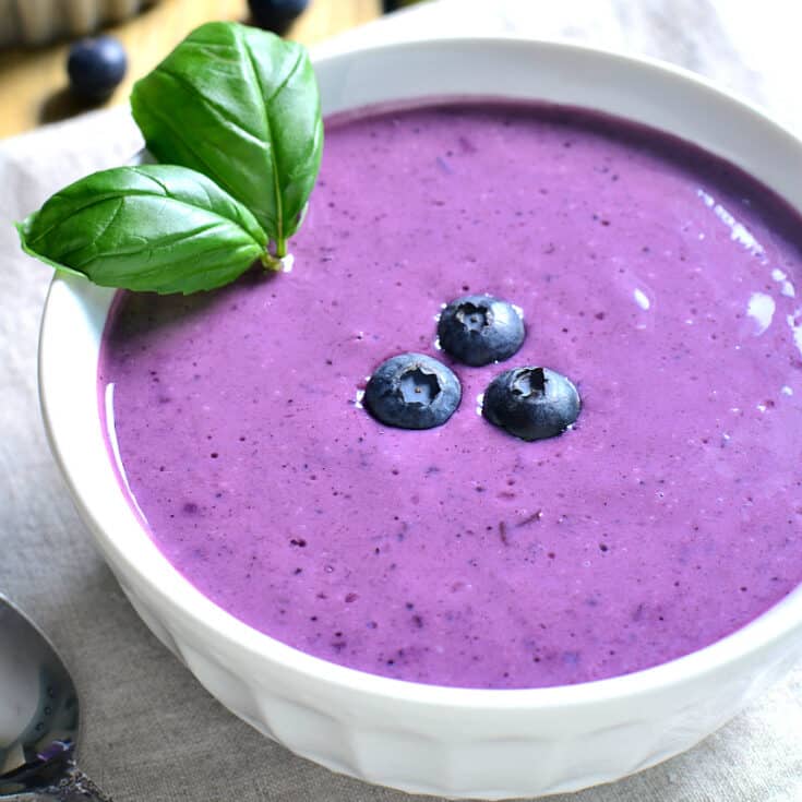 Chilled Blueberry Soup – Lemon Tree Dwelling