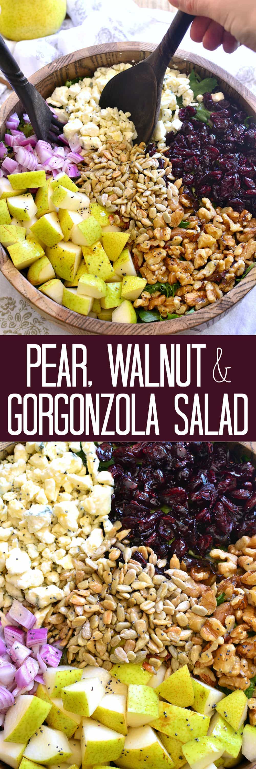 This Pear, Walnut & Gorgonzola Salad is perfect for fall! Loaded with fresh pears, walnuts, dried cranberries, sunflower seeds, green onions, and gorgonzola cheese, it's ideal for holidays and fall gatherings!