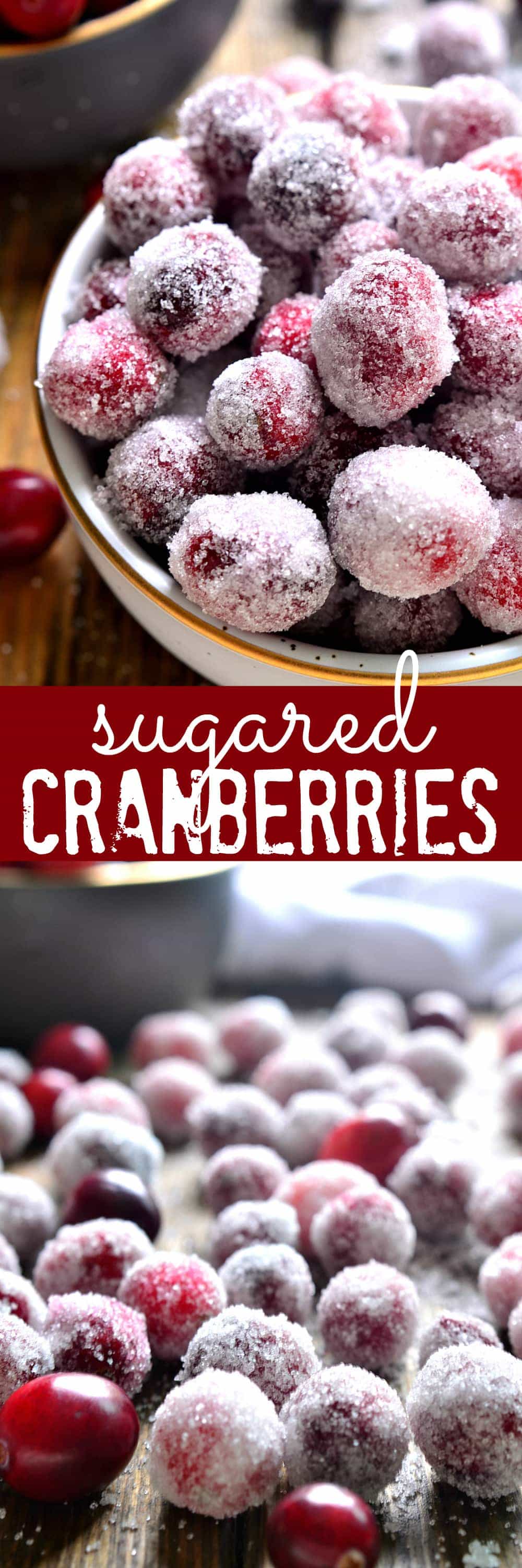 Sugared Cranberries are the ultimate holiday treat! Perfect for snacking, decorating desserts, or garnishing drinks....and they couldn't be easier to make!