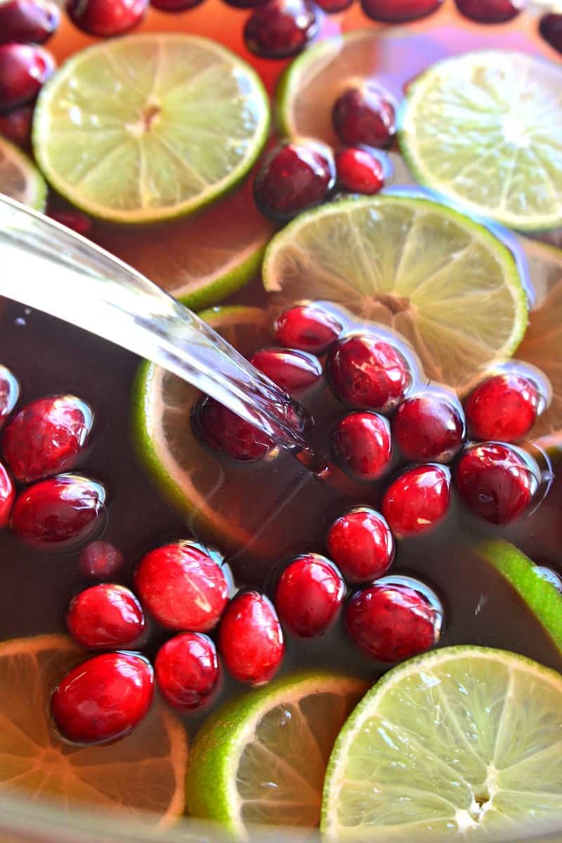 This Pomegranate Party Punch combines the BEST flavors of the season in a festive drink that's guaranteed to have your guests coming back for more! 