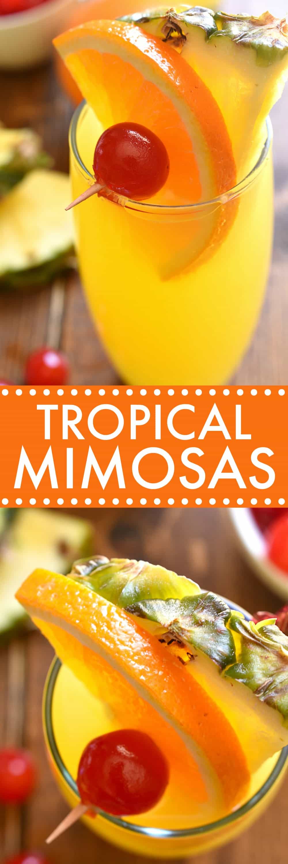 titled photo collage -  Tropical Mimosas 