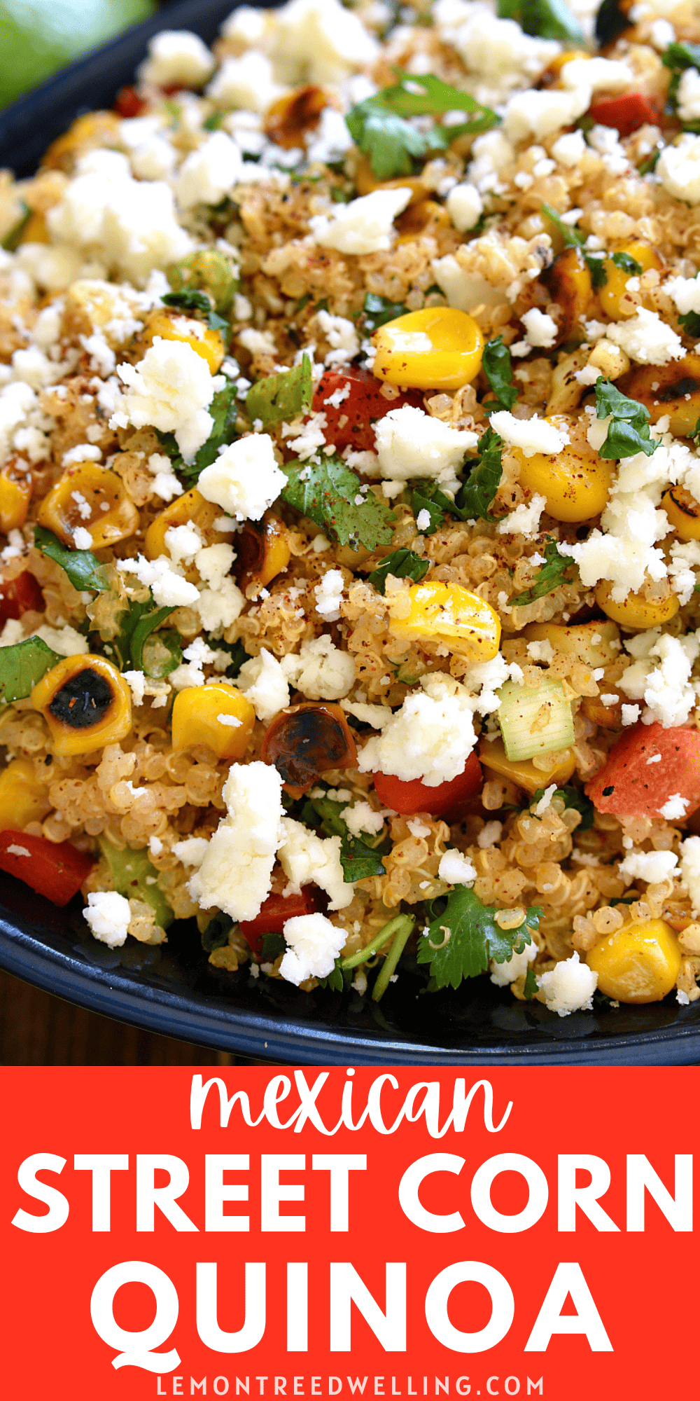 Mexican Street Corn Quinoa – Lemon Tree Dwelling