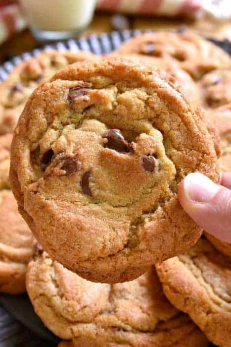 The BEST Chocolate Chip Cookies – Lemon Tree Dwelling