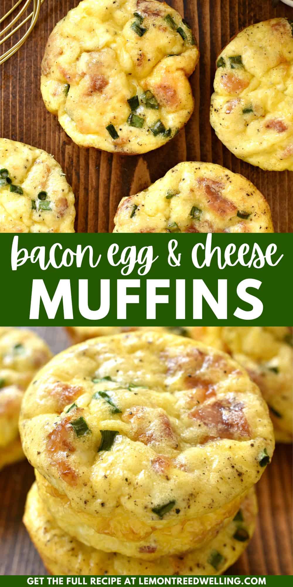 Breakfast Egg Muffins – Lemon Tree Dwelling