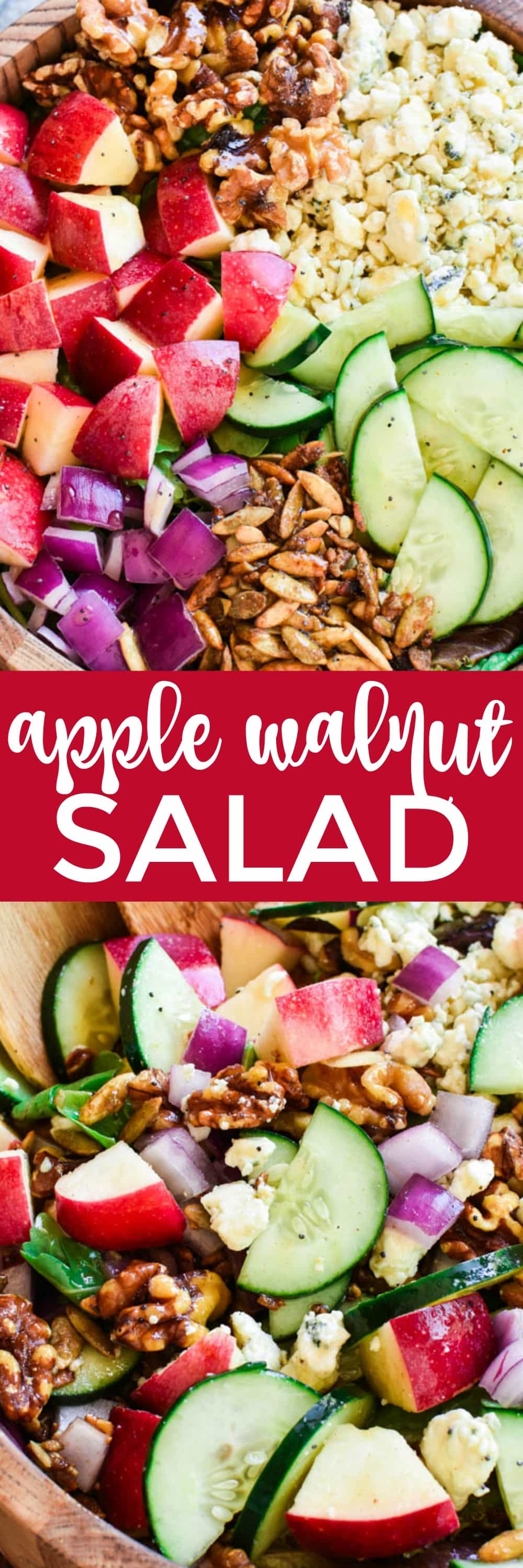 This Apple Walnut Salad is the ultimate salad for fall! Loaded with fresh apples, crisp cucumber, crunchy walnuts, toasted pumpkin seeds, gorgonzola cheese, and sweet honey poppy seed dressing....this salad is the perfect balance of savory, sweet, crunchy, and SO delicious. 