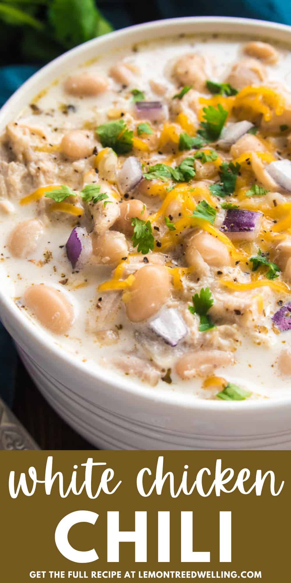 Creamy White Chicken Chili – Lemon Tree Dwelling