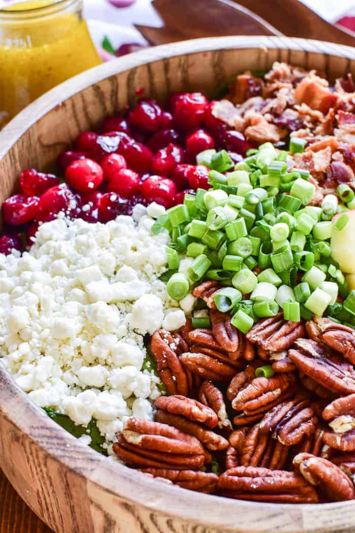 This Cranberry Apple Pecan Salad is one of our fall favorites! It's a delicious blend of sweet and savory flavors, and perfect for the holiday season. Loaded with sweet apples, fresh cranberries, crispy bacon, crunchy pecans, goat cheese, green onions, and a light vinaigrette, this salad makes a beautiful and delicious addition to any holiday meal.