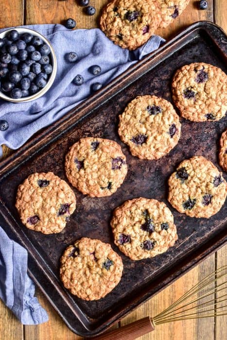 Blueberry Oatmeal Cookies – Lemon Tree Dwelling