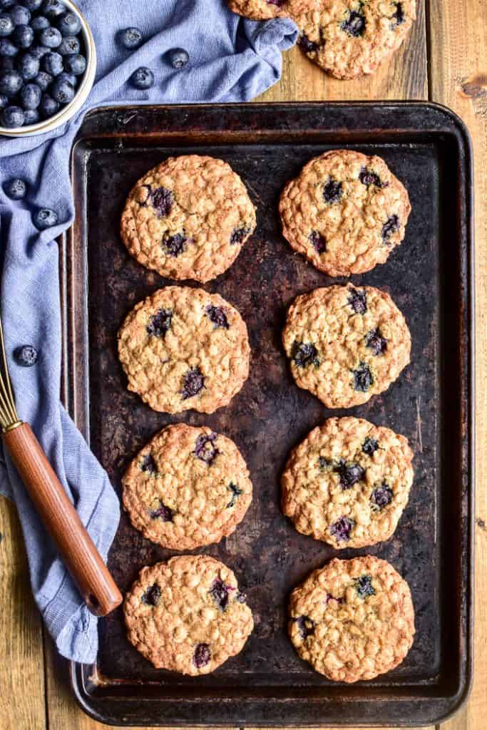 Blueberry Oatmeal Cookies – Lemon Tree Dwelling