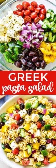 Greek Pasta Salad – Lemon Tree Dwelling