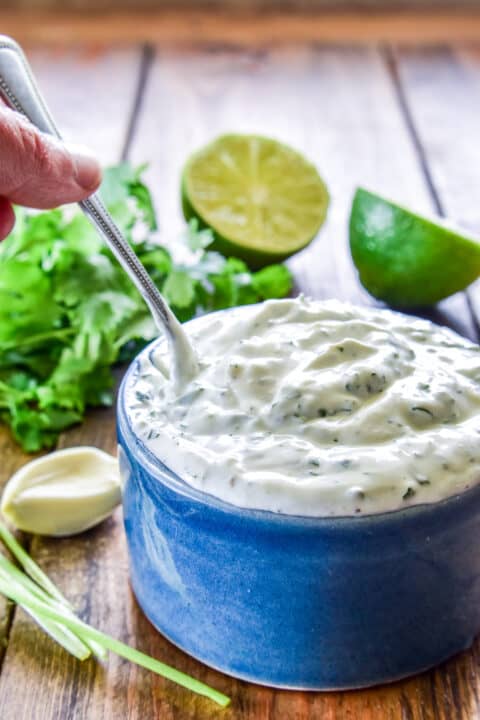 Cilantro Lime Sauce – Lemon Tree Dwelling