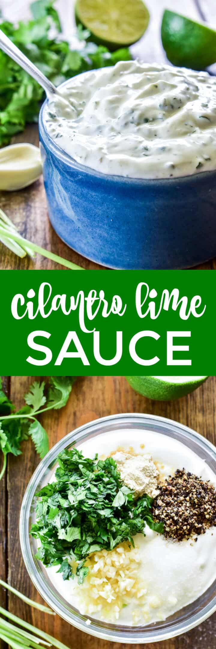 Cilantro Lime Sauce – Lemon Tree Dwelling