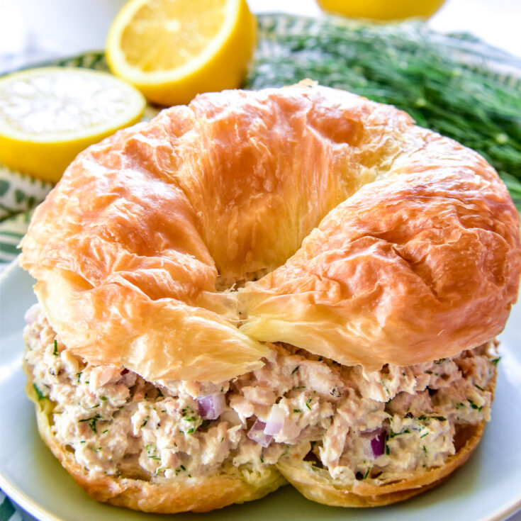 Salmon Salad Sandwich Rolls Recipe