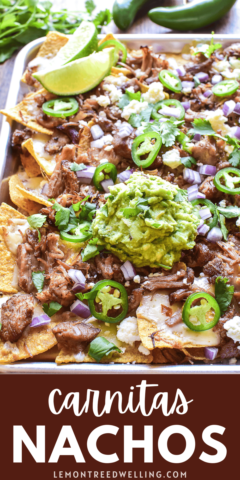 Carnitas Nachos – Lemon Tree Dwelling