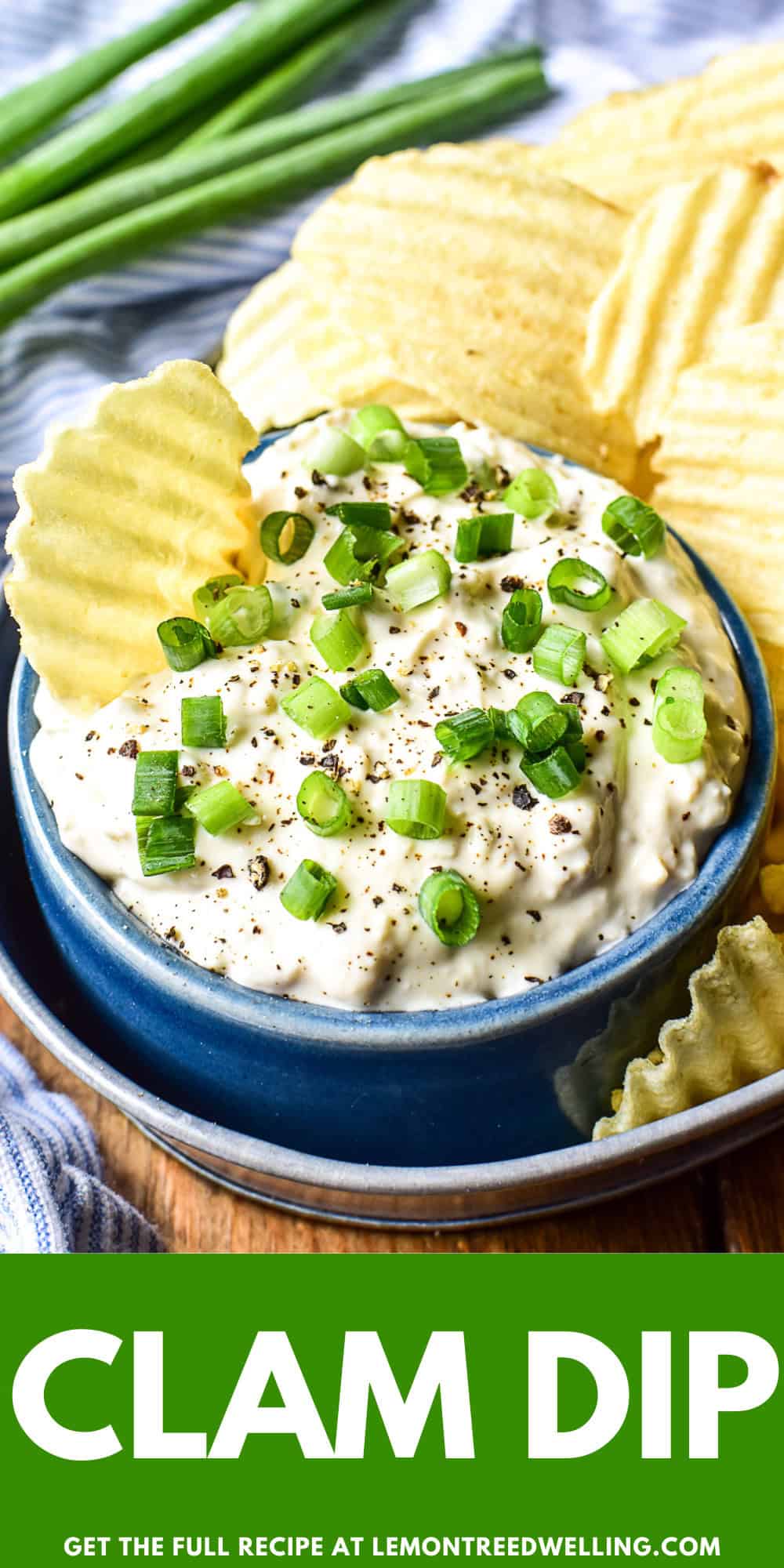 Clam Dip – Lemon Tree Dwelling